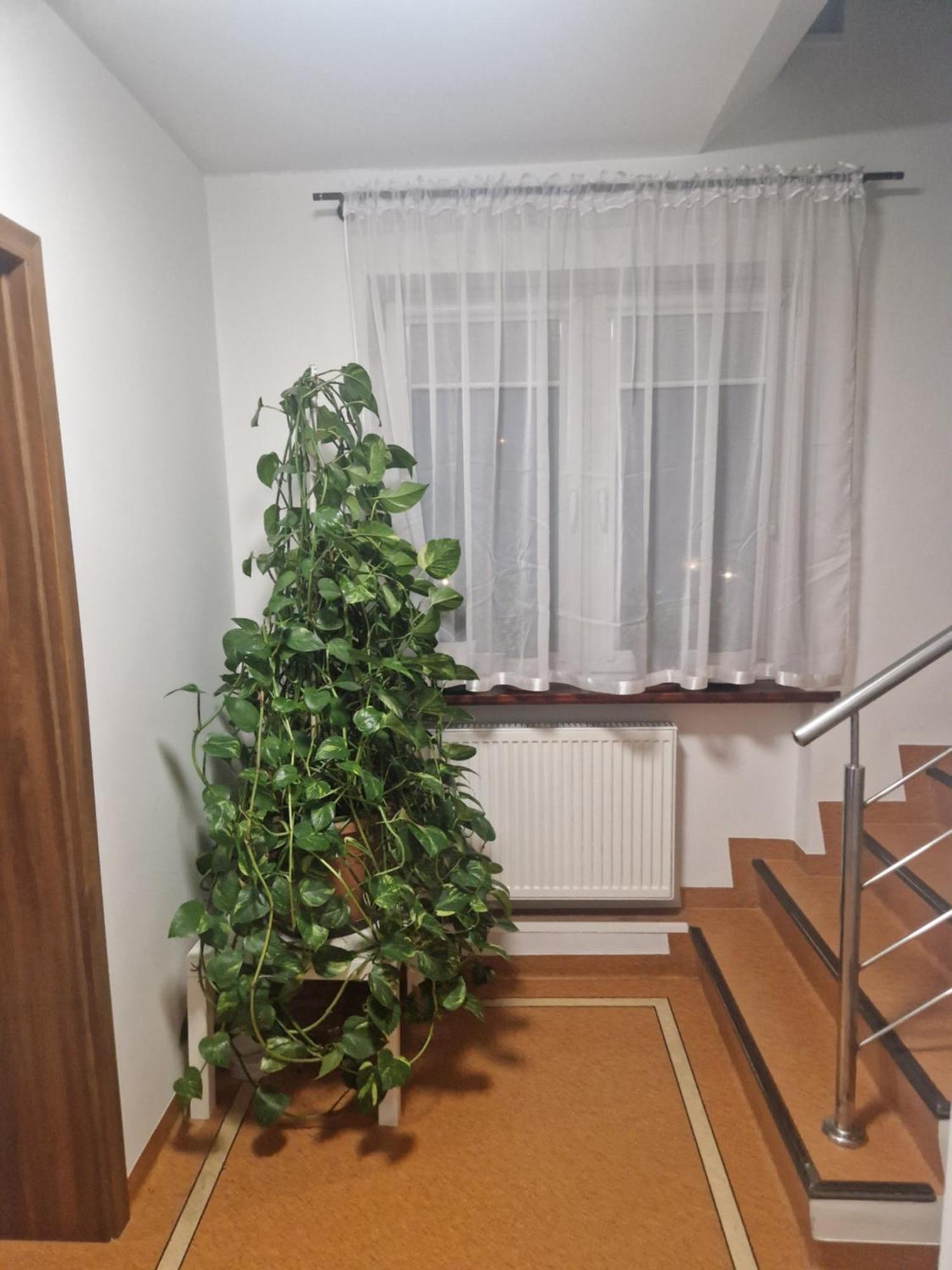 Noclegi Budomas Budget Wroclaw-Szymanow Freeparking Smarttv Exterior foto